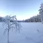 Зимние пейзажи Kari Liimatainen