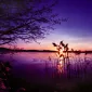 Зимние пейзажи Kari Liimatainen