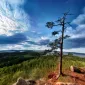 Зимние пейзажи Kari Liimatainen