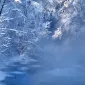 Зимние пейзажи Kari Liimatainen