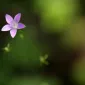Зимние пейзажи Kari Liimatainen