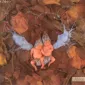 Фотографии детей Anne Geddes