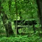 Зимние пейзажи Kari Liimatainen