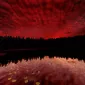 Зимние пейзажи Kari Liimatainen
