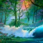 Мечты у моря Jim Warren