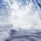 Зимние пейзажи Kari Liimatainen