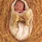 Фотографии детей Anne Geddes