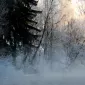 Зимние пейзажи Kari Liimatainen