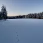 Зимние пейзажи Kari Liimatainen