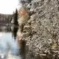 Зимние пейзажи Kari Liimatainen