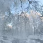 Зимние пейзажи Kari Liimatainen
