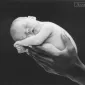 Фотографии детей Anne Geddes