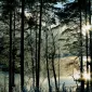 Зимние пейзажи Kari Liimatainen