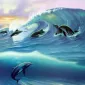 Мечты у моря Jim Warren