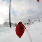 Зимние пейзажи Kari Liimatainen
