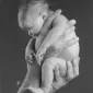 Фотографии детей Anne Geddes
