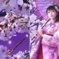 Хрустальные краски Shu Mizoguchi
