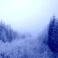 Зимние пейзажи Kari Liimatainen