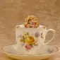 Фотографии детей Anne Geddes