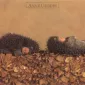 Фотографии детей Anne Geddes