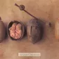 Фотографии детей Anne Geddes