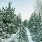 Зимние пейзажи Kari Liimatainen