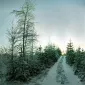 Зимние пейзажи Kari Liimatainen