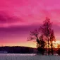 Зимние пейзажи Kari Liimatainen