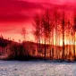 Зимние пейзажи Kari Liimatainen