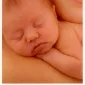 Фотографии детей Anne Geddes