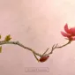 Фотографии детей Anne Geddes