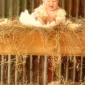 Фотографии детей Anne Geddes