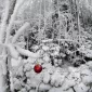 Зимние пейзажи Kari Liimatainen
