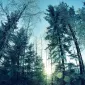 Зимние пейзажи Kari Liimatainen