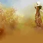 Акварели Кристиан Асух