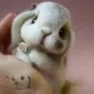 Очаровашки из войлока
