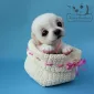 Очаровашки из войлока
