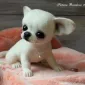 Очаровашки из войлока