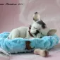 Очаровашки из войлока