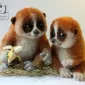 Очаровашки из войлока