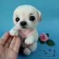 Очаровашки из войлока