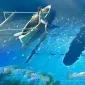  Звёздное небо Yutaka Kagaya
