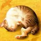 Плюшевая живопись Makoto Muramatsu