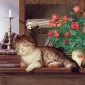 Плюшевая живопись Makoto Muramatsu