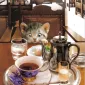 Плюшевая живопись Makoto Muramatsu