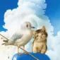 Плюшевая живопись Makoto Muramatsu