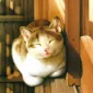 Плюшевая живопись Makoto Muramatsu