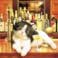 Плюшевая живопись Makoto Muramatsu
