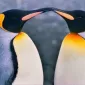 Нежность