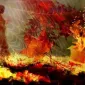 Осень для влюбленных